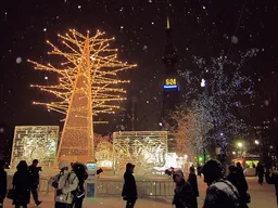 Sapporo TV Tower