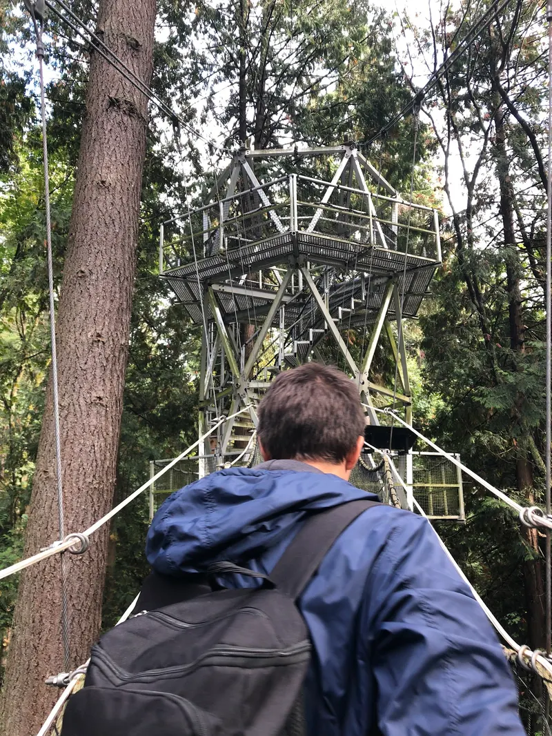 Greenheart TreeWalk