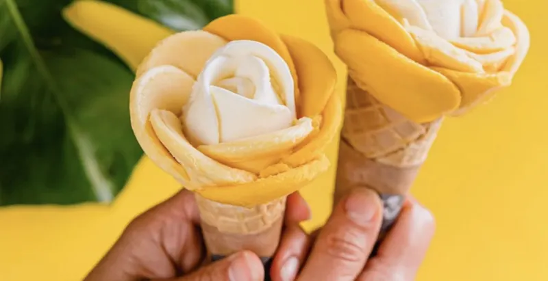 Amorino Gelato - Paris Notre Dame d'Arcole
