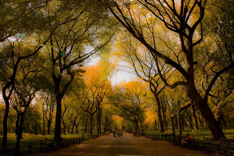 Central Park in New York