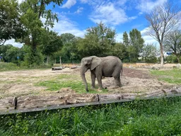 Warsaw Zoo