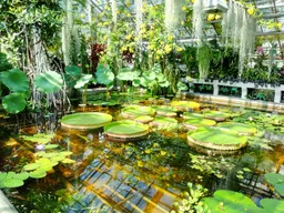 Botanic Garden of Jagiellonian University